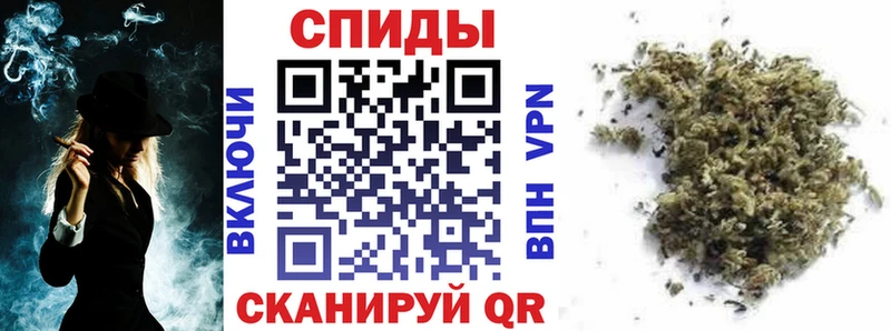 даркнет сайт  Чекалин  Бутират оксана 