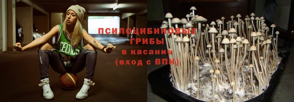 ешки Беломорск