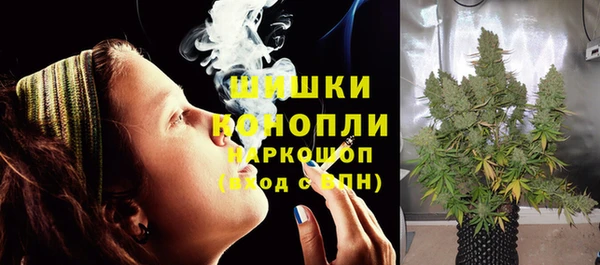 apvp Белокуриха