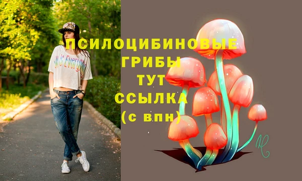 apvp Белокуриха