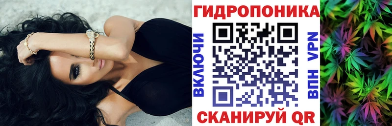 Бошки марихуана AK-47  где можно купить наркотик  Чекалин 